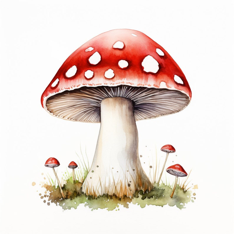 Preview image for 70 Watercolor Mushroom Clipart Digital Sticker Designs