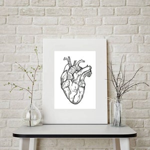 Anatomical Heart Digital Print - Wall Art decor - Science/Medical art- Anatomical Hand Drawn Human Heart-