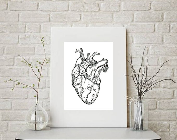 Antique Anatomical Heart Illustration, Vintage Heart Anatomy Art Print ...