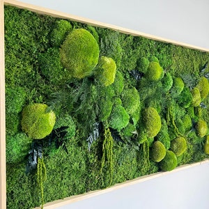 Moss wall art , Preserved moss art , Framed moss art , Moss decor , Preserved ferns