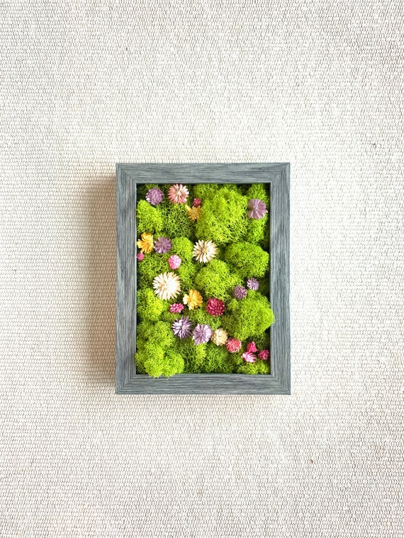 Moss Wall | Plant wall decor | Dried flowers | Preserved moss art | Plant wall art | Moss wall art | Framed wall decor | Green and Fuchsia