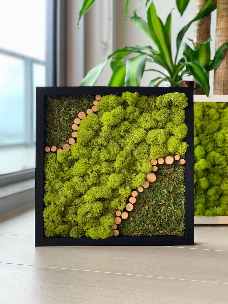 Moss Wall Art Framed Plant Wall Preserved Moss Art Home Etsy