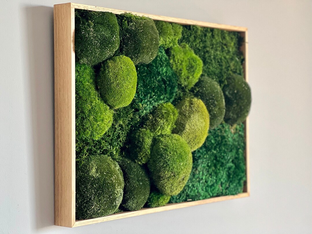 Moss Wall Art Preserved Moss Decor Moss Frame Plant Wall Etsy