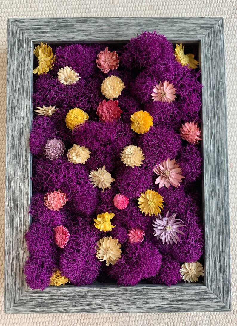 Moss Wall Plant wall decor Dried flowers Preserved moss Etsy