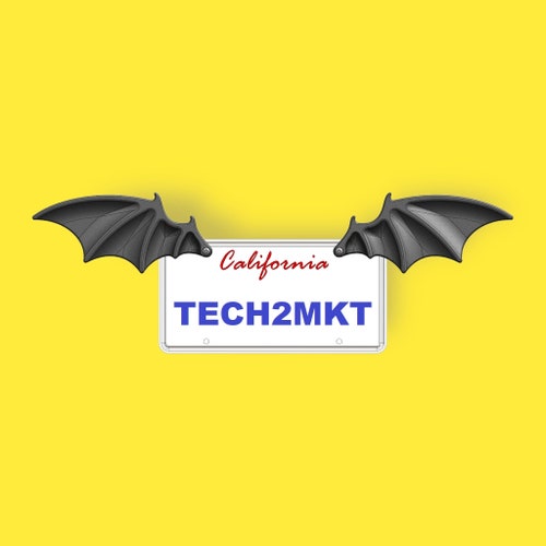 Moth Witchy License Plate Frame Goblincore Academia Boho Car Etsy