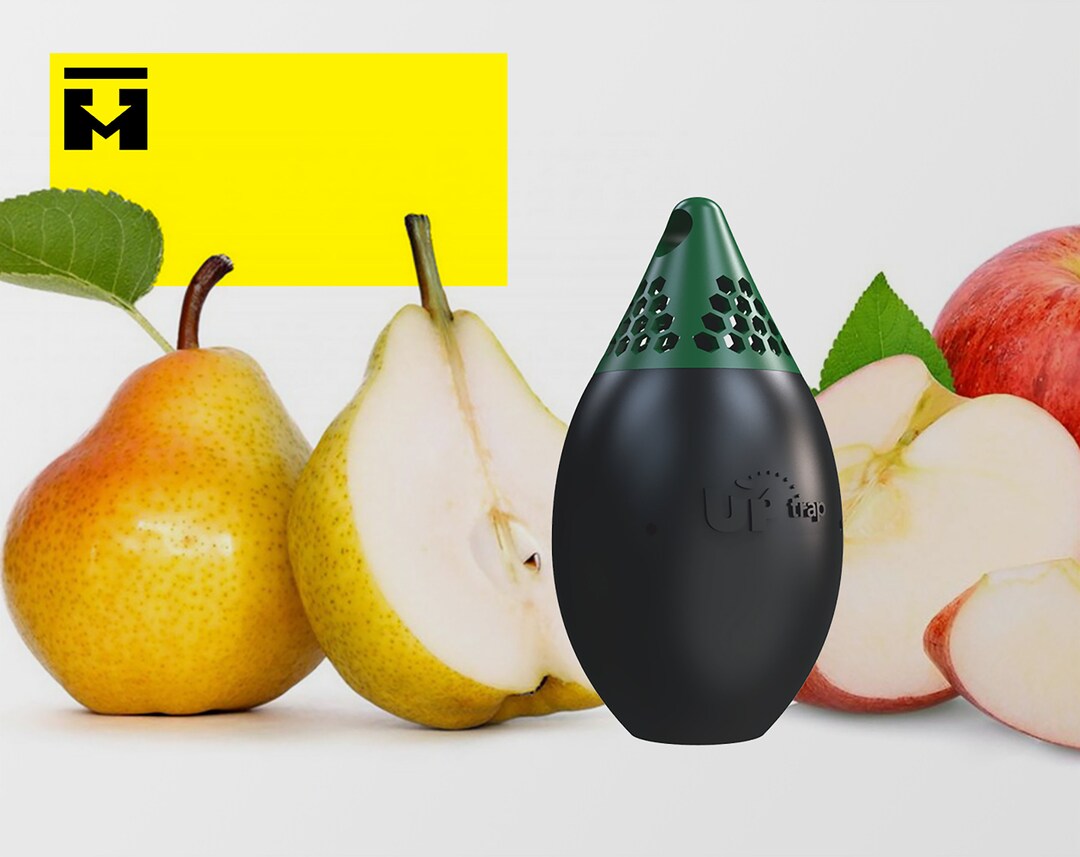 Fruit Fly Trap Indoor and Outdoor Insect Trap Gnat Trap Safe