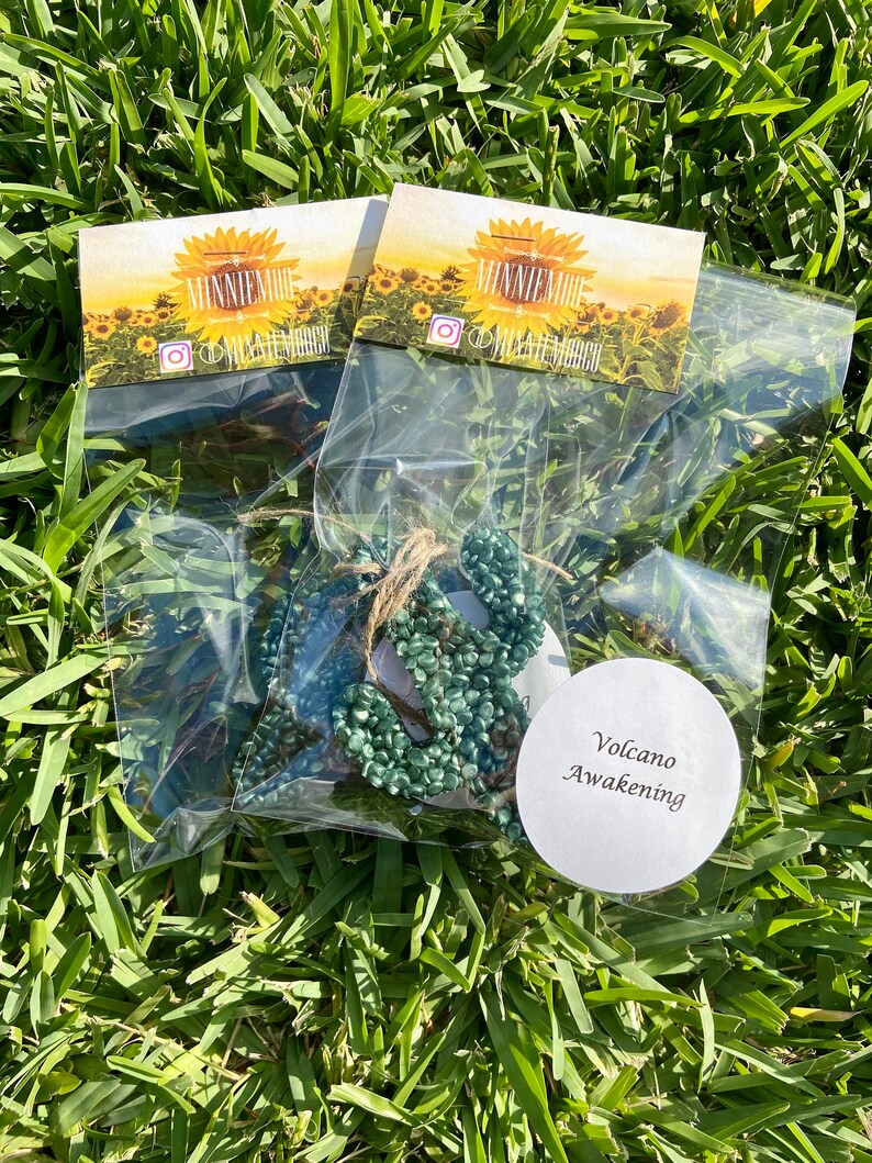 Texas Car Freshie Car Scent Car Freshie Car Freshener Etsy Texas Car Freshie Car Scent Car Freshie Car Freshener Etsy