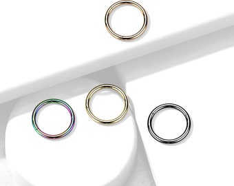 Titanium PVD Hinged Segment Hoop Rings