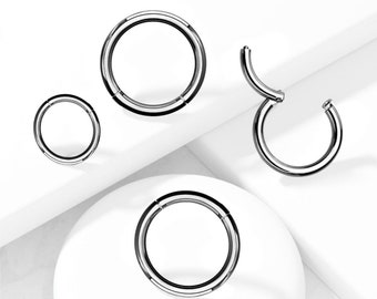 Titanium Hinged Segment Hoop Rings