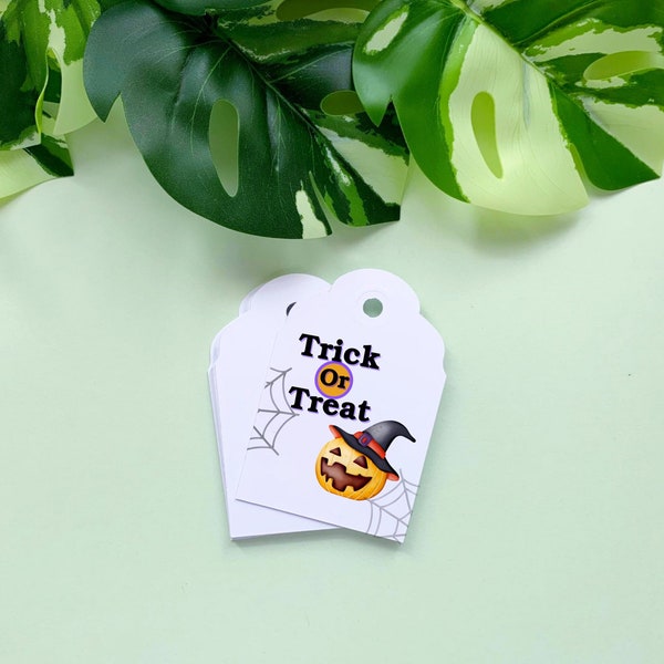 Hallween tags, perfect for trick or treat bags, favor boxes and party decor. Pumpkin & cobweb design with hole - Pack of 10 3x2" in size