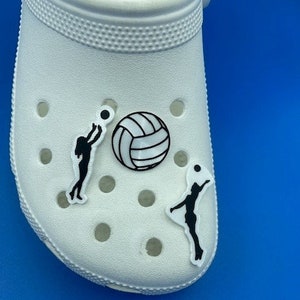 Volleyball High Hitters Your Choice:  Long or Short Hair