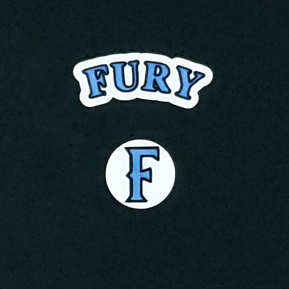 FURY Softball Team Logos Etsy