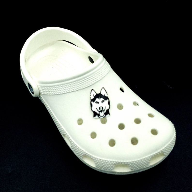 cat croc charms
