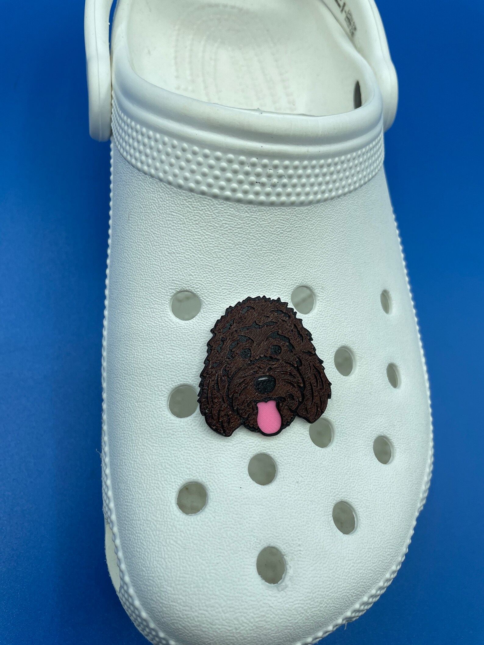 Complex Pet Croc Charms with Color Etsy