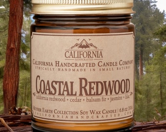 Coastal Redwood Scented Soy Wax Amber Jar Candle - Mother Earth Collection - 8 oz Travel Tin