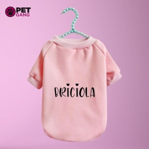 Custom dog sweatshirt, custom cat sweatshirt, dog name sweatshirt, cat name sweatshirt, dog clothing, cat clothing, pet sweatshirt