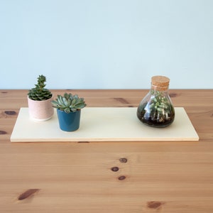 Pu&ograve; includere: Tre piccole piante in vaso su uno scaffale di legno bianco. Lo scaffale &egrave; su un tavolo di legno. Le piante sono una succulenta in un vaso blu, una succulenta in un vaso rosa e un terrario in una bottiglia di vetro trasparente con un tappo di sughero.