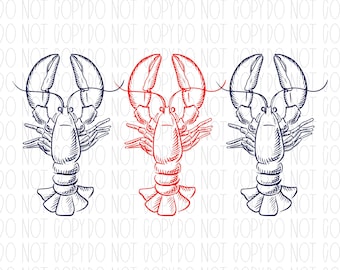 Náutico, langosta, cangrejo de río, estética de pescador, náutico esquemático, verano costero, náutico, moderno, png, sublimación, diseño digital