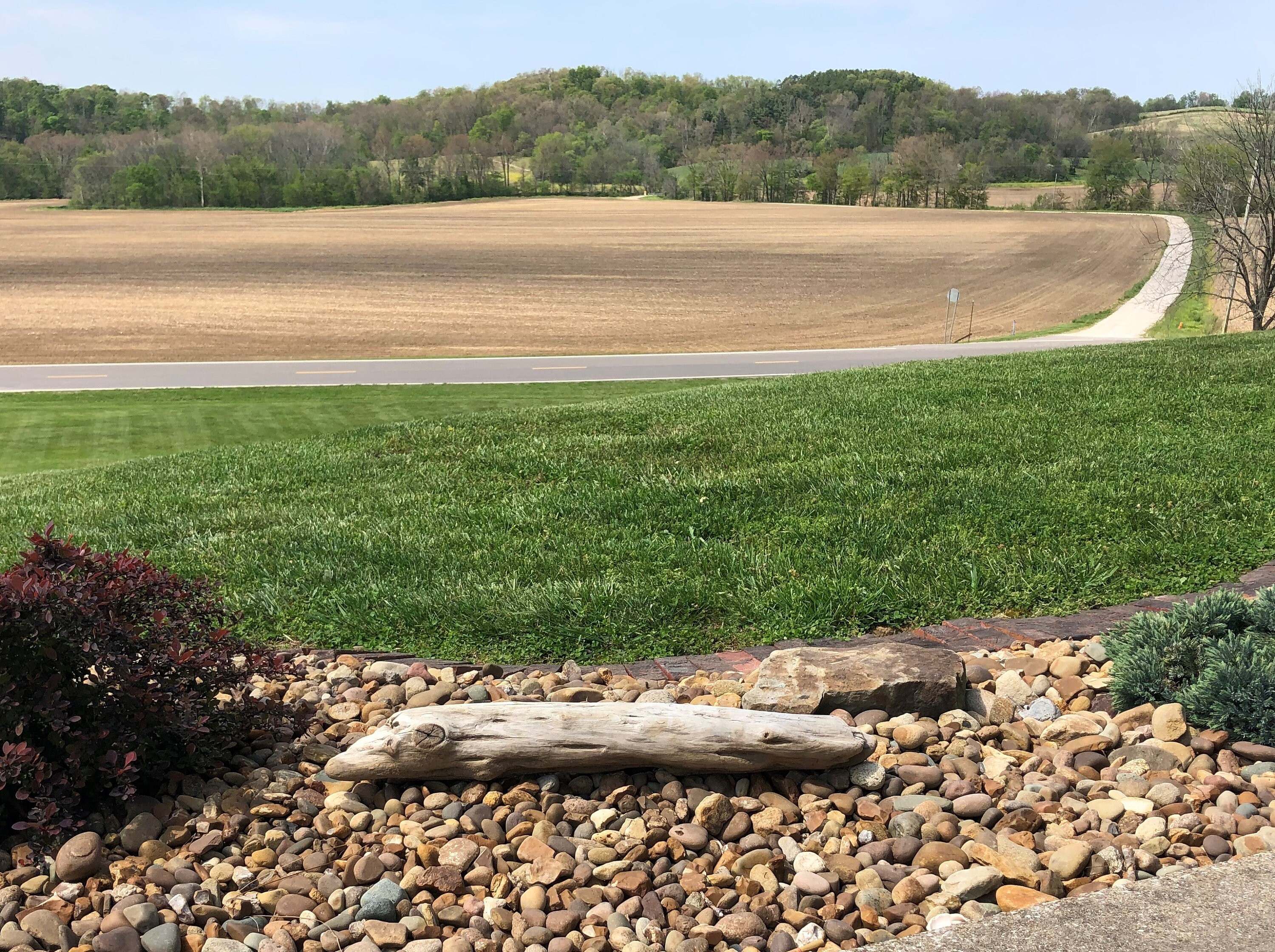 Ohio River Rustic Driftwood for Landscaping Aquarium or Etsy