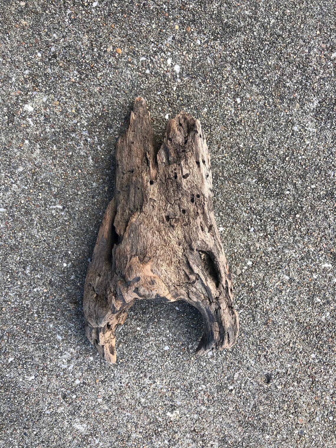 Ohio River Rustic Driftwood for Landscaping Aquarium or Etsy