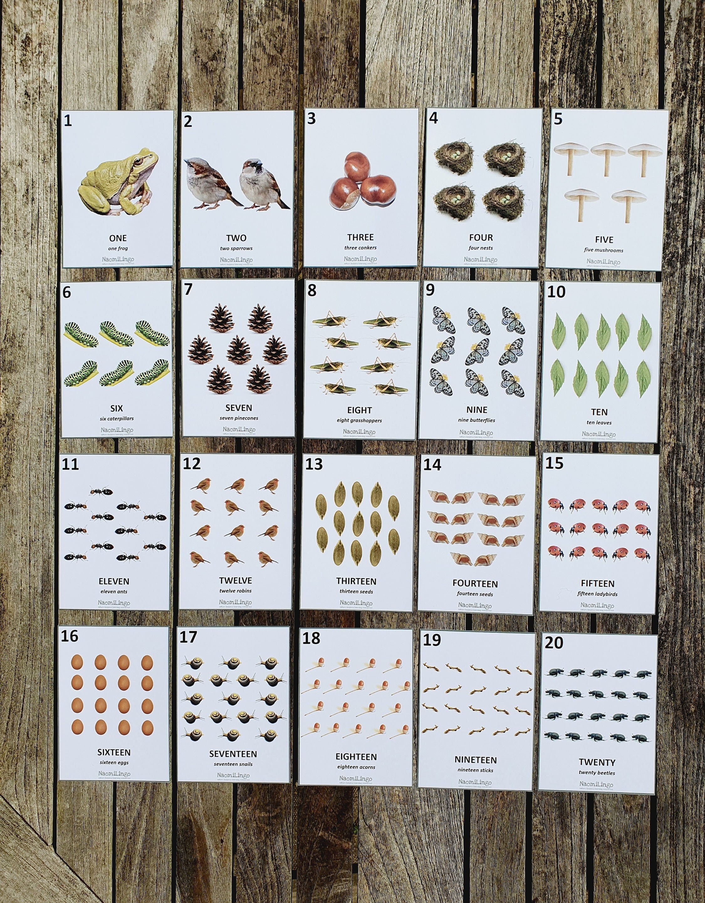 printable nature number cards toddler flashcards preschool etsy
