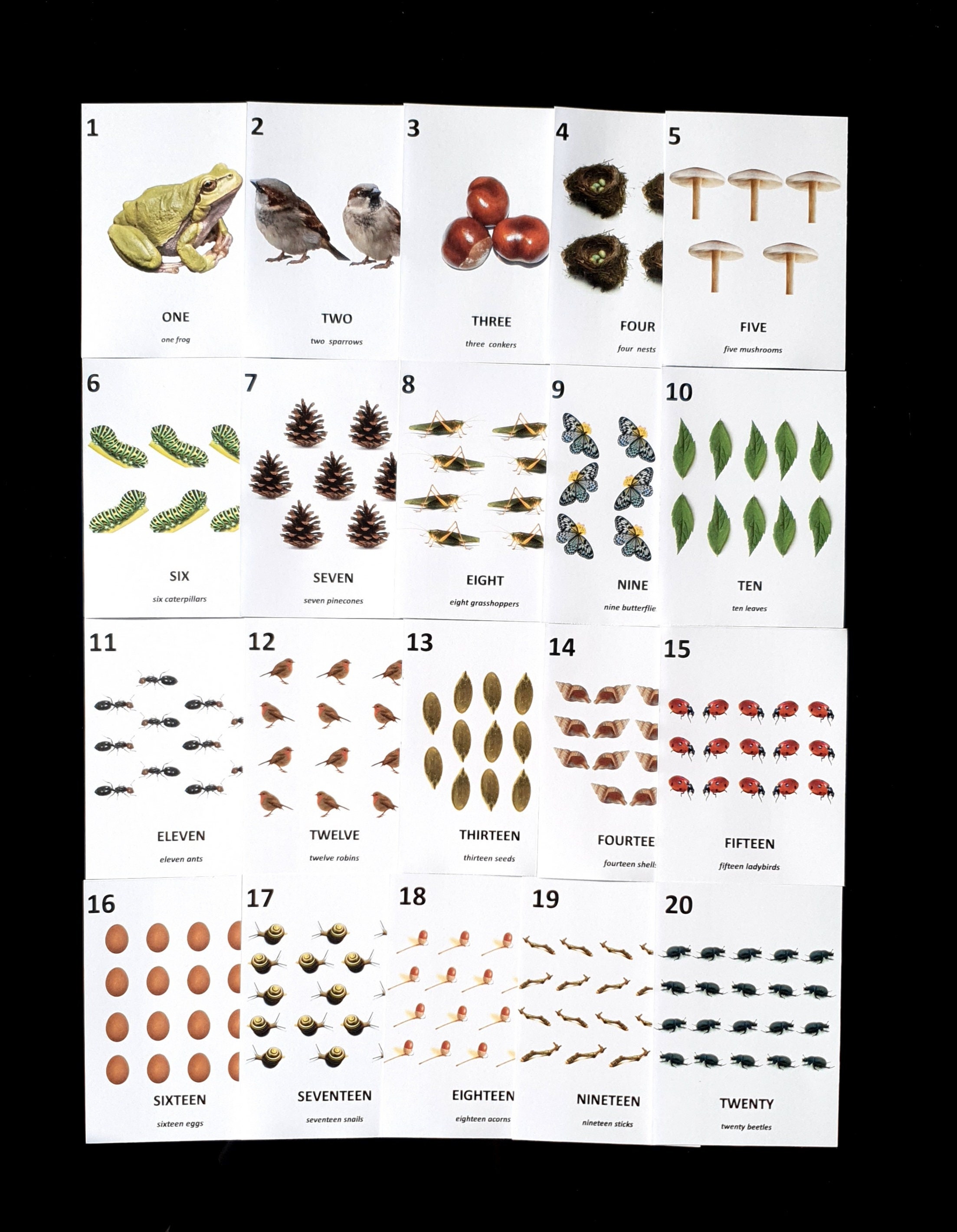 Nature Number Cards Flashcards 110 120 1020 Toddler Etsy