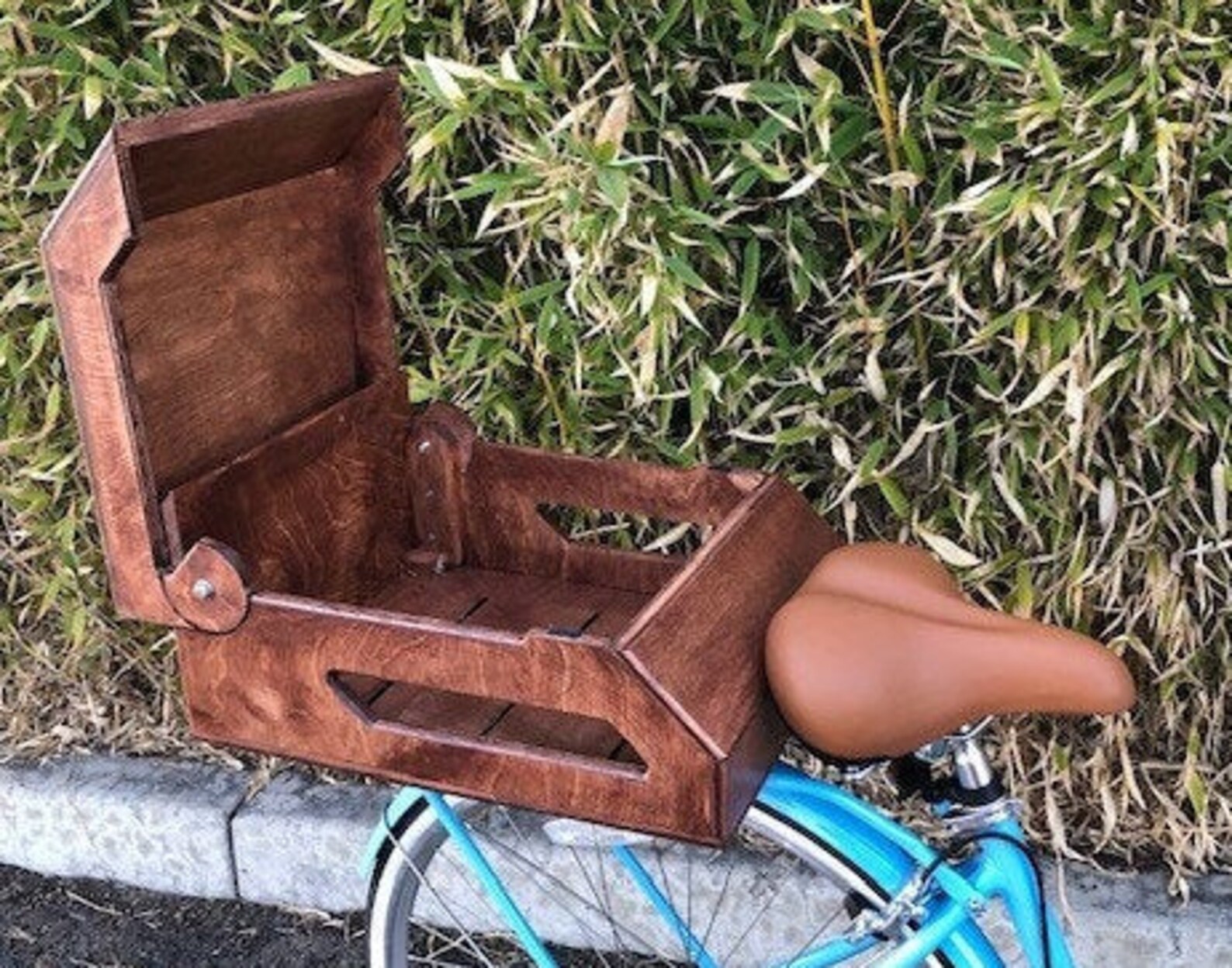 bicycle trunk