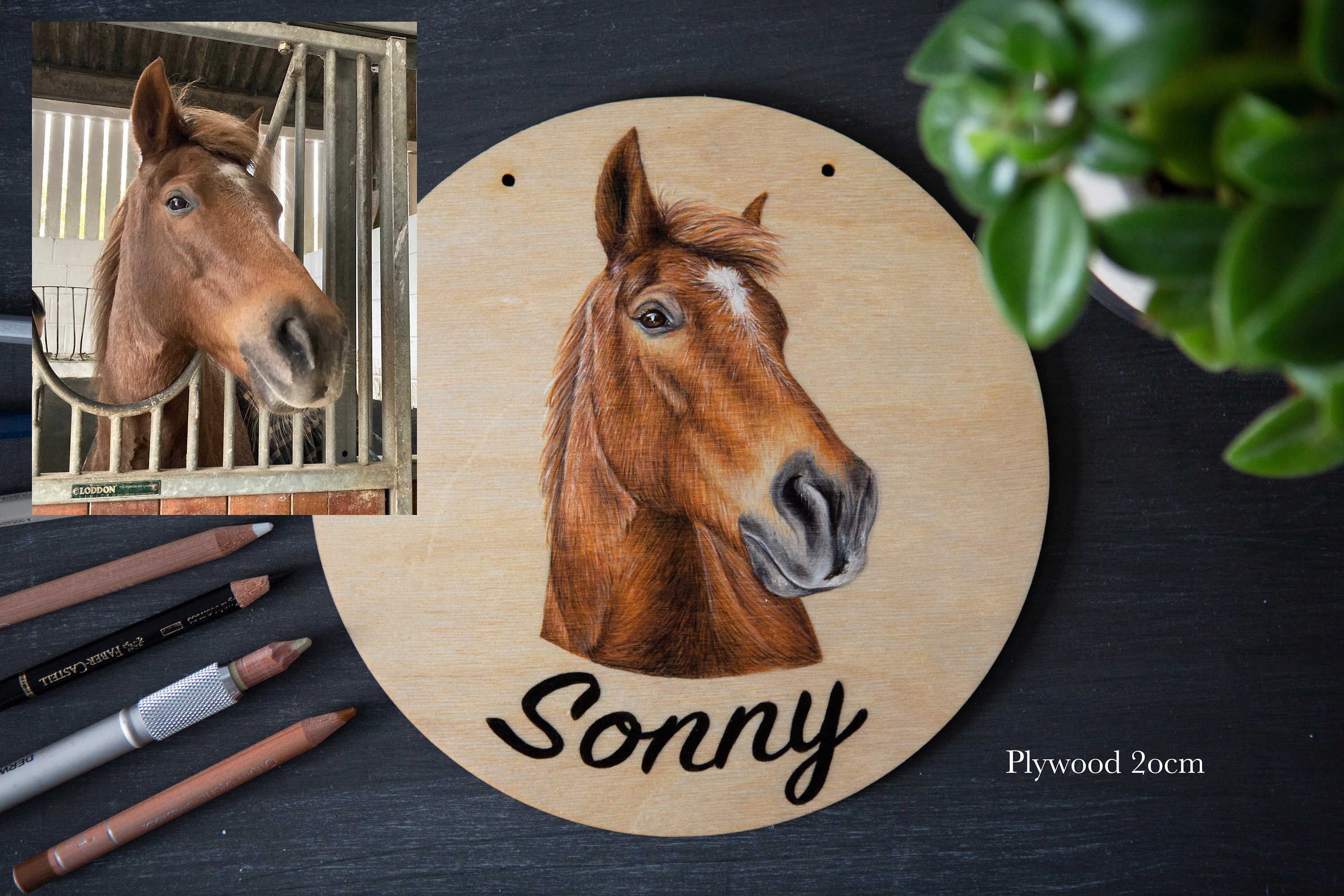 Hand Drawn Stable Name Plate Personalised Custom Equine Etsy