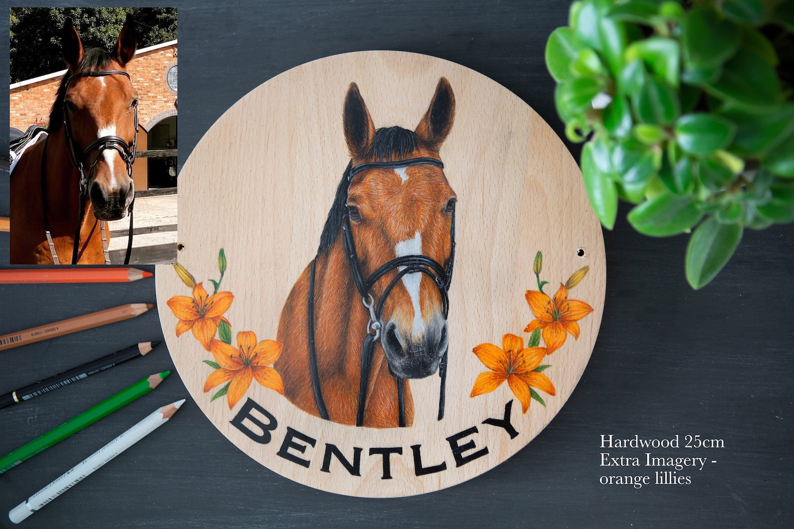 Hand Drawn Hardwood Stable Name Plate Personalised Equine Etsy