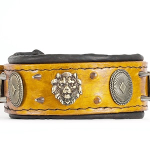 Doberman collar with padding, conchos, conchos and spikes, leatherforpets, spintser, amstaff, terrier