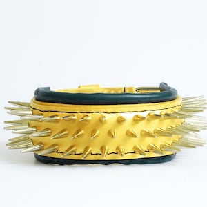 American Pitbull collar with big spikes, leatherforpets, padded dog collar, yellow gold dog collar