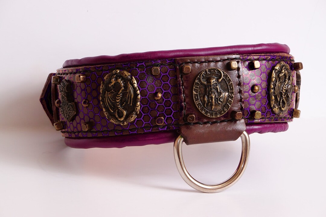Viking Dog Collar, Odin Leather Dog Collar, Airbrushed With Nordic Shields, Skulls and