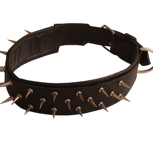 Leather Dog Collar with Big Spikes and Padding