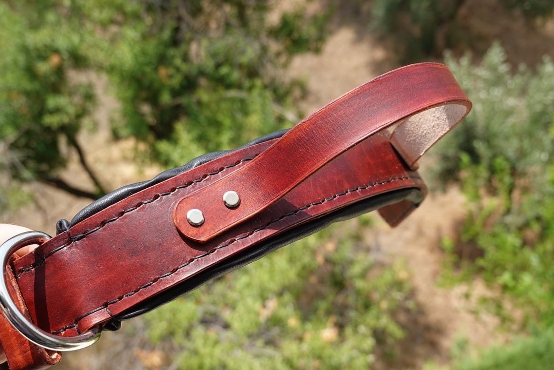 agitation leather dog collar with handle, service dog collar