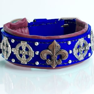Schnauzer handmade leather dog collar navy blue with celtic conchos, rivets and padded personalised, american bully