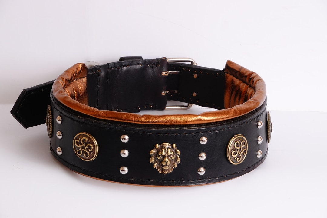English Mastiff Collar , Big Dog Collar , Cane Corso Collar , Tibetan