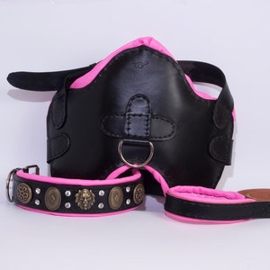 cane corso harness , dog collar and harness set , dog gear , leather dog collar leash set , dog harness , padded dog collar and leash