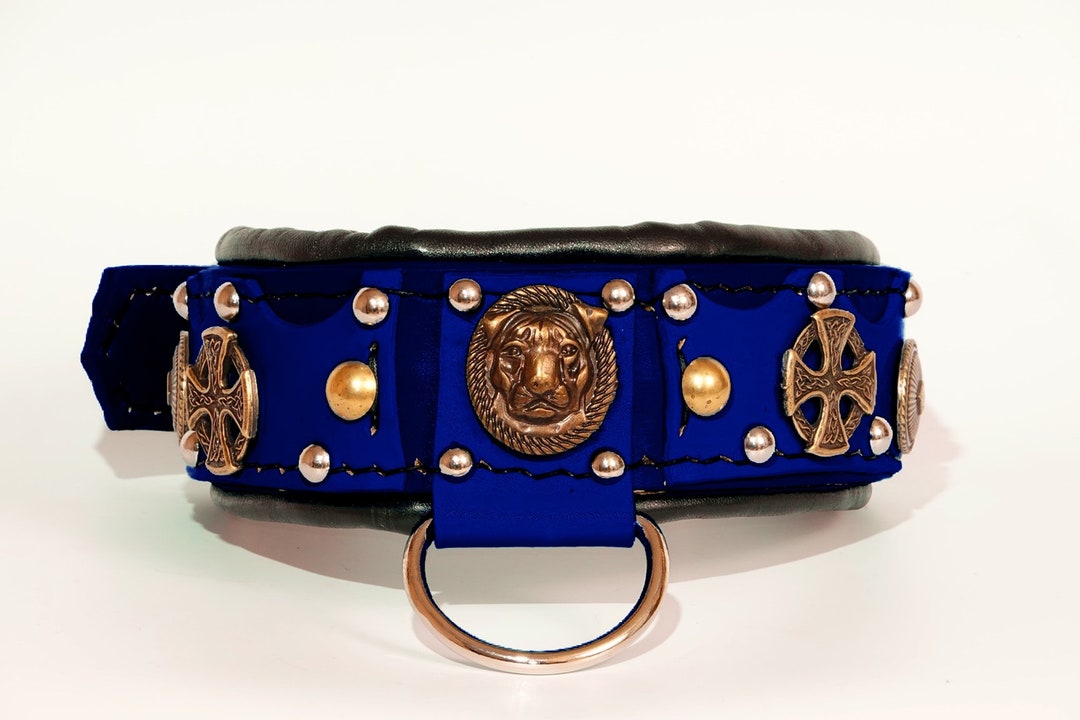 XL Bully Collar, American Bully Padded Collar, Pocket Bully Collar