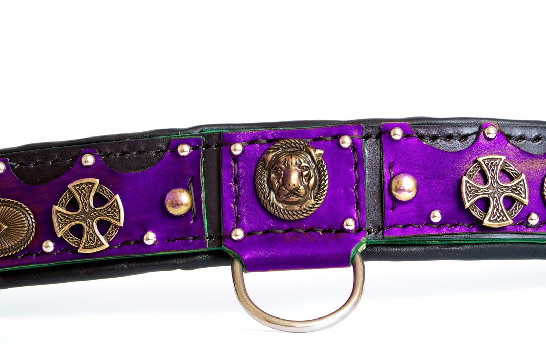 Pocket Bully Collar , American Bully XL Collar , Bully Collar , Pitbull