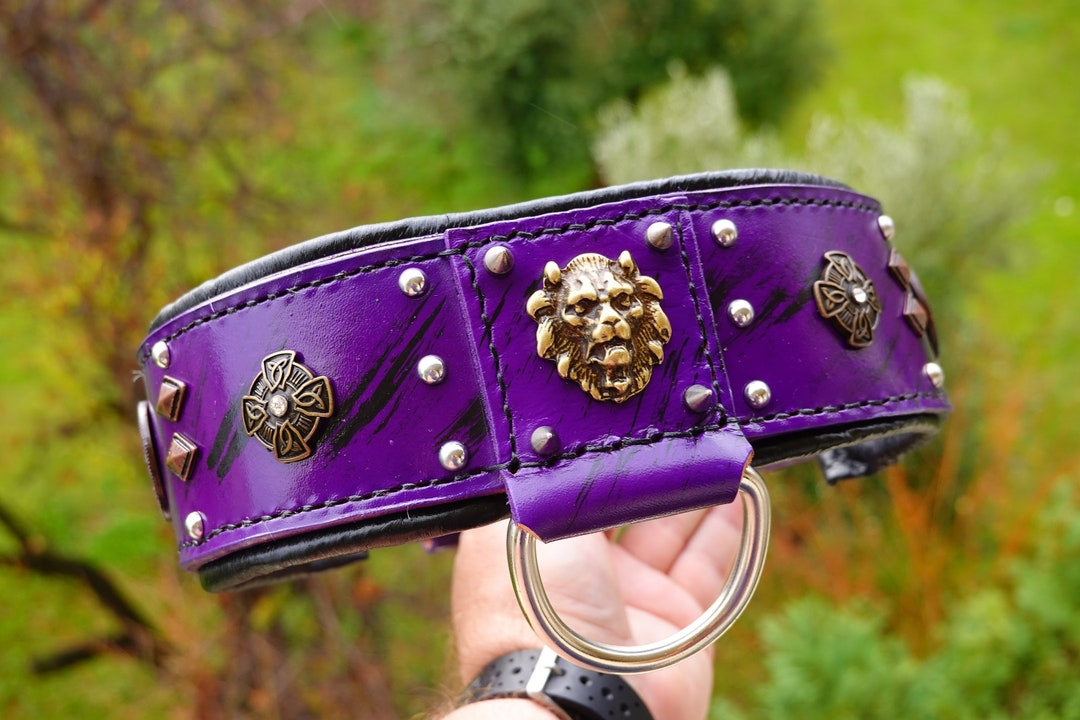 Cane Corso Collar Purple, XL Bully Collar, Leather Mastiff Strong Dog