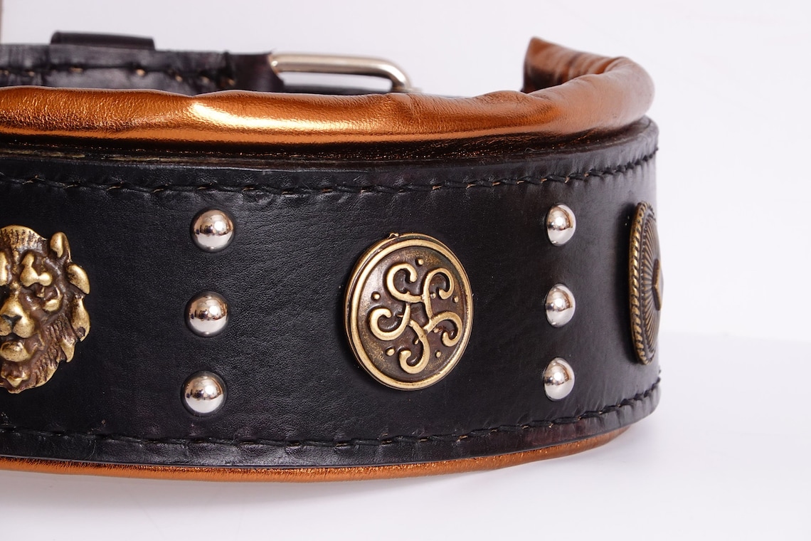 English Mastiff Collar XXL Dog Collar Caucasian Shepherd Etsy