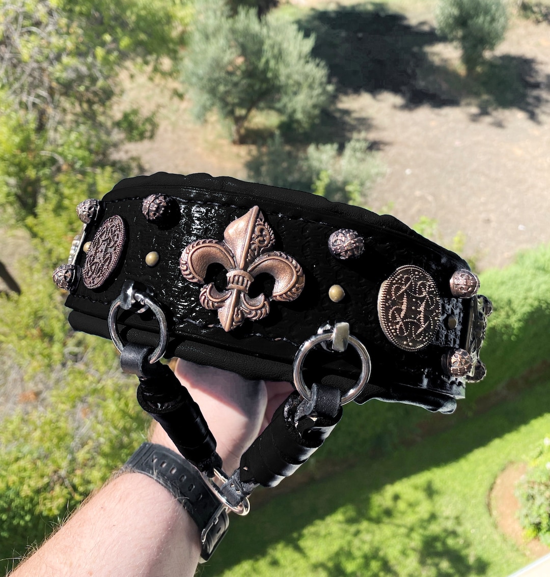 XXL Dog Collar, Dog Collar for Big Dogs, Dogue De Bordeaux Collar