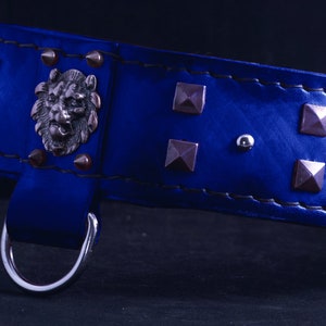 blue leather dog collar with pyramid rivets  and spikes and lion head concho