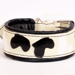 Leather Dog Collar white with cow pattern, Soft Padded collar, leatherforpets, unique dog collar, amstaff, pocket bully, doberman
