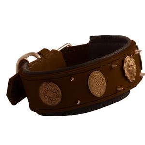 Handmade Brown Leather Dog Collar: Spiked, Concho Detail, Padded