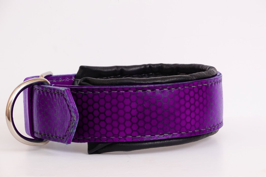 2-inch-purple-leather-dog-collar-honeycomb-pattern-with-padding-etsy
