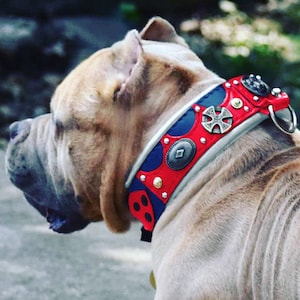 American Bully leather dog collar, Luxury Dog Collar, bully xl collar, pocket bully collar