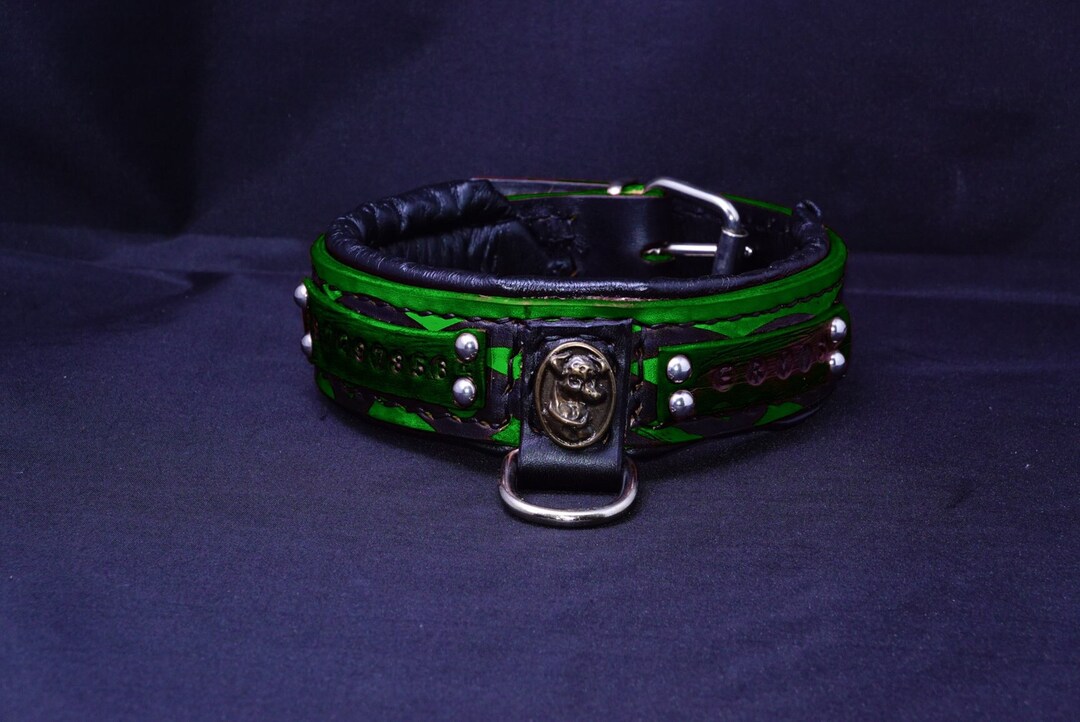 Jack Russel Hundehalsband aus Leder mit Namen und Telefon in