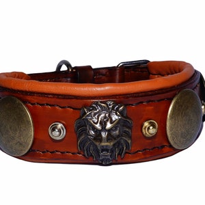 Padded Leather Dog Collar: Rivets, Lion Head, Vegetable Tanned