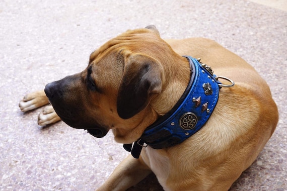 ハンドメイドのネイビーブルーレザー製犬用首輪：大型犬用スタッズ付き